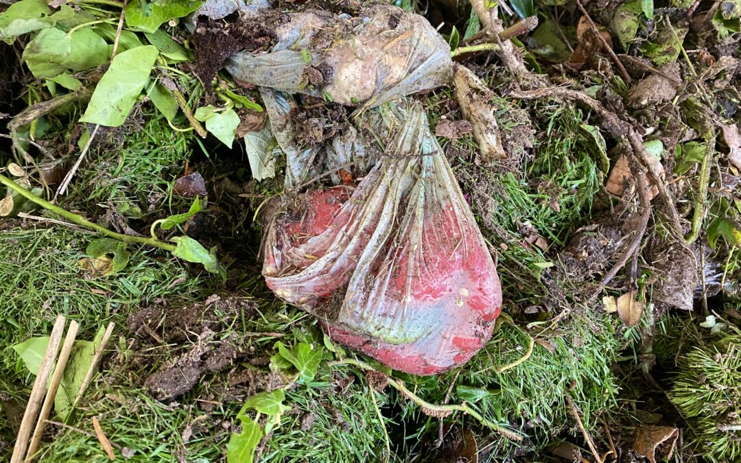 Internationaler Plastiktütenfreier Tag